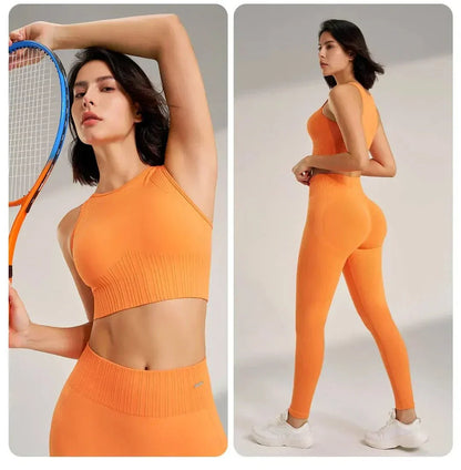 Vibrant Two Piece Seamless Fitness set